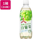 �A�T�q����/�O�c��ʎ��̂��܂ݔ����� 500mL 24�{