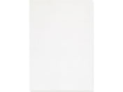 �������H/OPP�� �V�[���Ȃ� L�^�ʐ^�T�C�Y 0.025mm�� 100��/OPP25-LP