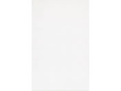 �������H/OPP�� �V�[���Ȃ� 380�~600�T�C�Y 0.025mm�� 100��/OPP25-386