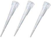 �r�I����(�A�Y����)/�r�I�����T�N���`�b�v(���b�N�p�b�N)10��L �i�`������(�ŋۍ�)1�P�[�X(96�{�~10���b�N��)/3-6629-04