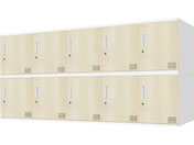 Netforce/�L���[�{�C�h ���b�J�[ 10�l�p 5��2�i �V�����_�[�� ����450mm �X�`�[�� �z���C�g�~�i�`������/CUB3545S10-WHNA