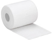 �A���P�A �f���A�v���X�E�e���V�����K�C�h ������� 25-7155-00 21381