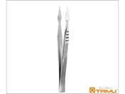 TAIYU(��S��ȍH��)/�ٕ��q�q(�g�Q��)���� �_�{�� �S��12cm/61-9225-82