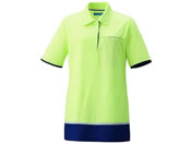 KAZEN WLD/���f�B�[�X�j�b�g�V���c(�`���j�b�N) L �C�G���[�O���[��/KZN233-12