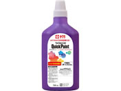 �T�N���N���p�X/�N�C�b�N�y�C���g720mL �ނ炳��/AQW720#24