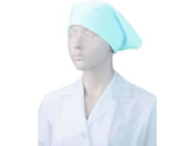 KAZEN WLD/�O�p�z O-157�Ή� �T�b�N�X 10���~10��/477-91