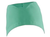 KAZEN WLD/��p�X�q(��q����) �t���[ �O���[�� 2���~2��/197-92