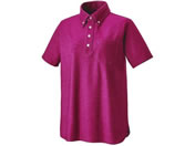 KAZEN WLD/�ۃj�b�g�V���c LL �ۃ��C��/APK239-15