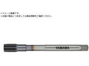 ���}��/Z-PRO ���d�x�Y�f�|�p���[���^�b�v MHRZ G8 M12X1.25 P MHRZ-Z-G8-M12X1.25-P