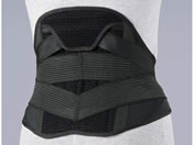 �V�O�}�b�N�X/�}�b�N�X�x���g S3 23-3383-04 323504(LL)