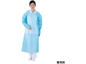 ������/�t�W�|���G�v���� ���t �t���[ �e�w�t�b�N�^�C�v 10����/66-0004-30