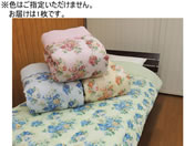 �t�@�~���[�E���C�t/�F���܂������{���K�[�[���z�c �V���O��/a36727