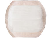 �I�I�T�L���f�B�J�� �z���P�A�p�b�h �R���p�N�g�T�C�Y �x�[�W�� 60���� 67-3056-99