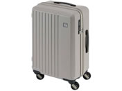 Gh[/LIEVE 4փL[ 48cm O[W/1-250/G