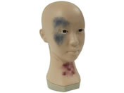 �o�C�I�X�L�� ���f�B�J�����C�N���f�� ���㏈�u�p�i 25-2418-00 BMK-300