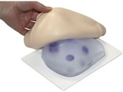 �o�C�I�X�L�� ������G�f���f��(�J�o�[�^�C�v)�g���[�j���O���f�� 24-6961-00 BMC-03