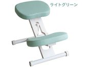 宮武製作所/プロポーションチェア ホワイトライトグリーン/CH-N88W