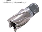 日東/ハイブローチ ワンタッチタイプ 17X25L 16217 NO.16217
