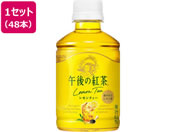 �L����/�ߌ�̍g�� �������e�B�[ 280mL�~48�{