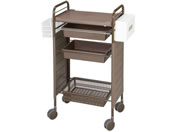 �}�c���V/�J���[�A�v�����S�� �T�C�h�J�o�[�t�E���[�^�C�v 485�~300�~890mm �u���E��/SN-AP007