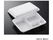 �������w/�ٓ��e�� �X�� K23-17E �g 50��