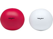 TOEI LIGHT �g�[�G�C���C�g/�g����ʑ��� 100(2�F1�g)