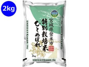 �_�� �{�� ���ʍ͔|�� �ЂƂ߂ڂ� 2kg