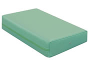 ���c�x�b�h/�J���[�}�b�T�[�W�}�N�� ���C�g�O���[��/TB-77C-05