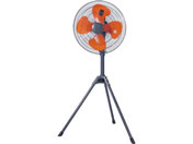 ���A�T�v���C���X �X�^���h�H��� 45cm YS-455H