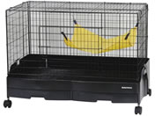 �O�W����/�C�[�W�[�z�[�� �t�F���b�g80/978