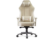 AKRacing/���C�t�X�^�C���`�F�A Faura �x�[�W��/AKR-FAURA-BEIGE