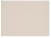 �΍�d�@���쏊/�����p�t�b�f�����≏�V�[�g �q�[�g�V�[���[ 24-4524-11 NPT-303P/S