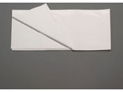 �v���X 1800�~3000mm �e�[�u���N���X(�����n PVC��) EA911AF-415