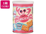 �O������/�ʓ��� ���Ƀr�X 100g 24��