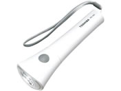 ����/LED�����d�� �t���b�V�����C�g 24-7403-02 KFL-32N(W)