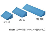 �A�Y����/�̈ʌŒ�N�b�V���� 600mm�p �����J�o�[/8-8680-11