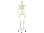 ���{�X���[�r�[�E�T�C�G���e�B�t�B�b�N ���i���f�� A10