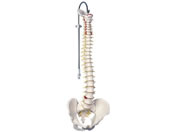 ���{�X���[�r�[�E�T�C�G���e�B�t�B�b�N �Ғ����^���f���W���^ A58�^1