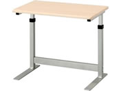 �G�X�R 500�~300�~385mm ���ド�b�N(�ؖ�) EA954HC-88