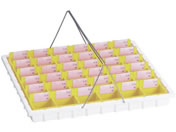 ���{�㗝���/�U��g���[(36�l�p)36�l�p ����g���[ 19-7770-0002 �C�G���[ KY-36(26-6128)