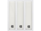 日本医理器材/病室用名札差し(3名用・様付)ネームプレート 09-2230-0301 縦書き用 HP-3