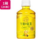 �L����/�ߌ�̍g�� �������e�B�[ 280mL 24�{