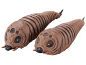 o_C/[r[X^[V[Y Xc (2003) oqZbg