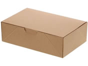 �V���W�}/NF�l�I�N���t�g �R���p�N�gBOX L 20��/4248302