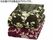 �t�@�~���[�E���C�t/�}�C���[2�����킹���肦��ѕz �u���E��/a3548310