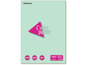 ���剮/�J���[�y�[�p�[������ A4 �󉩐F 100��/�i-3211