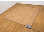 t@~[ECt/ؖڒ t[O zbgJ[ybg 175~175cm