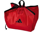 AfB_X/V^{[lbg /ABN04R