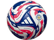 AfB_X fBAEfEN[xXFIFA25~j ADFM110