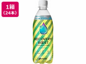 ɓ/Jo[u[XgXp[NO 500mL~24{